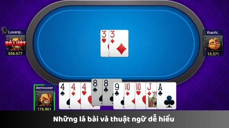 Những lá bài và thuật ngữ dễ hiểu 