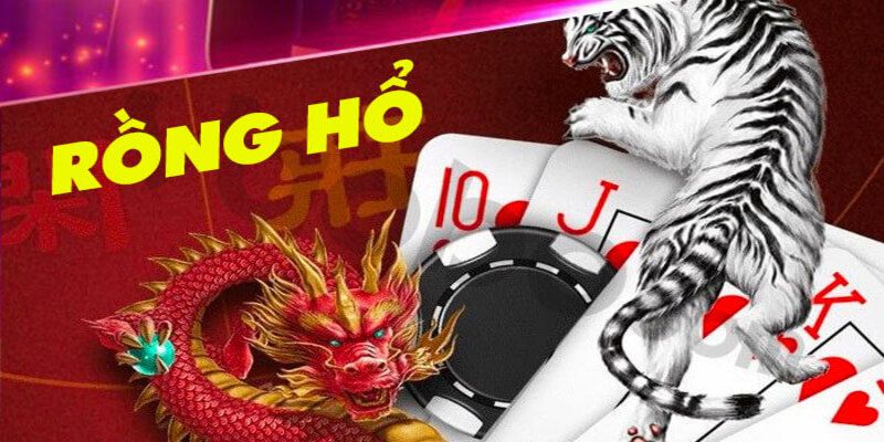 Cách chơi Rồng Hổ để nâng cao thu nhập
